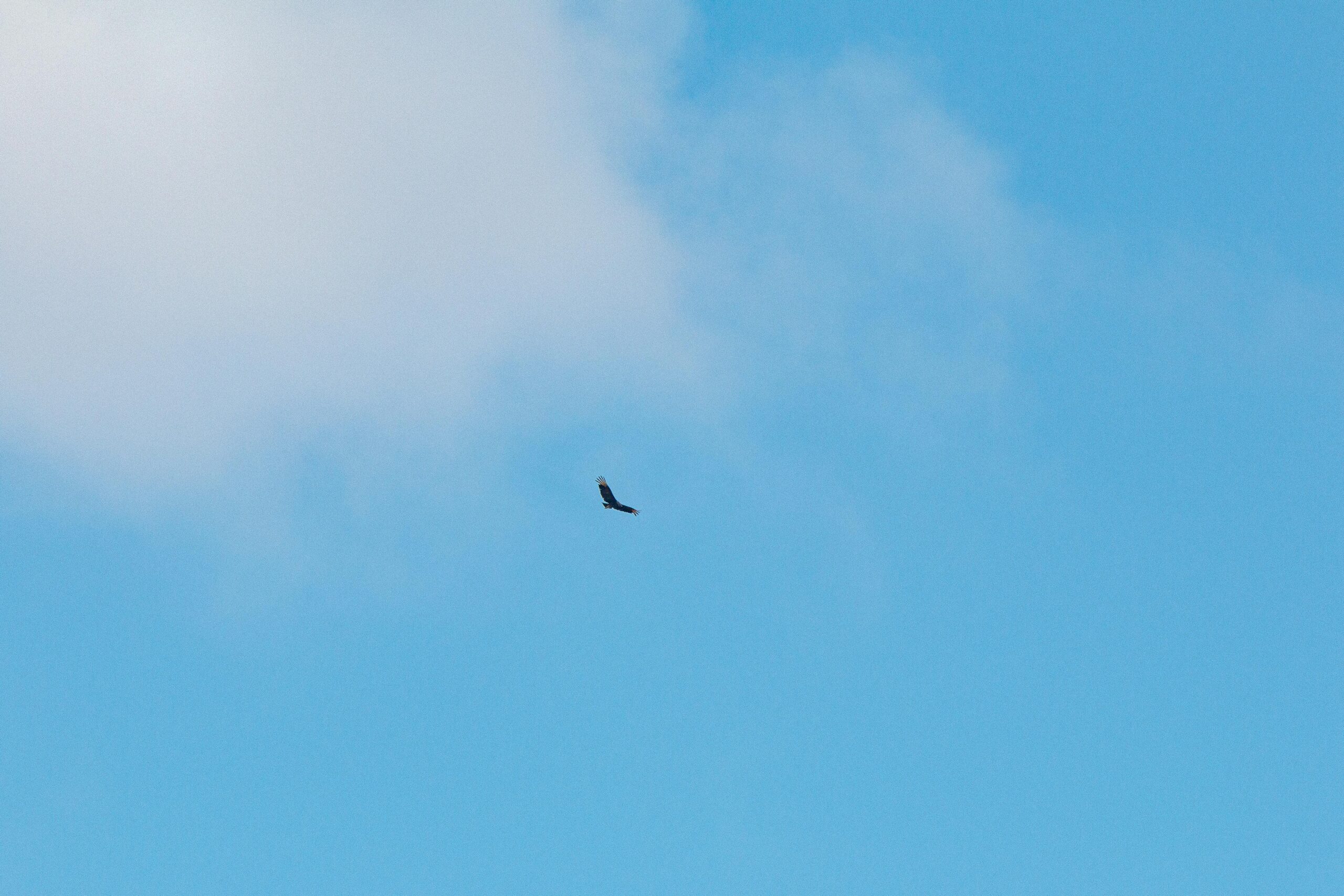 Những định kiến vô hình