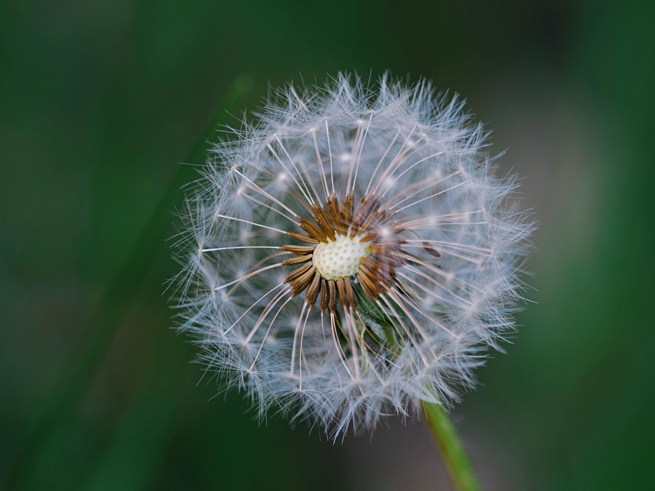 Sâu thẳm của sự tự do