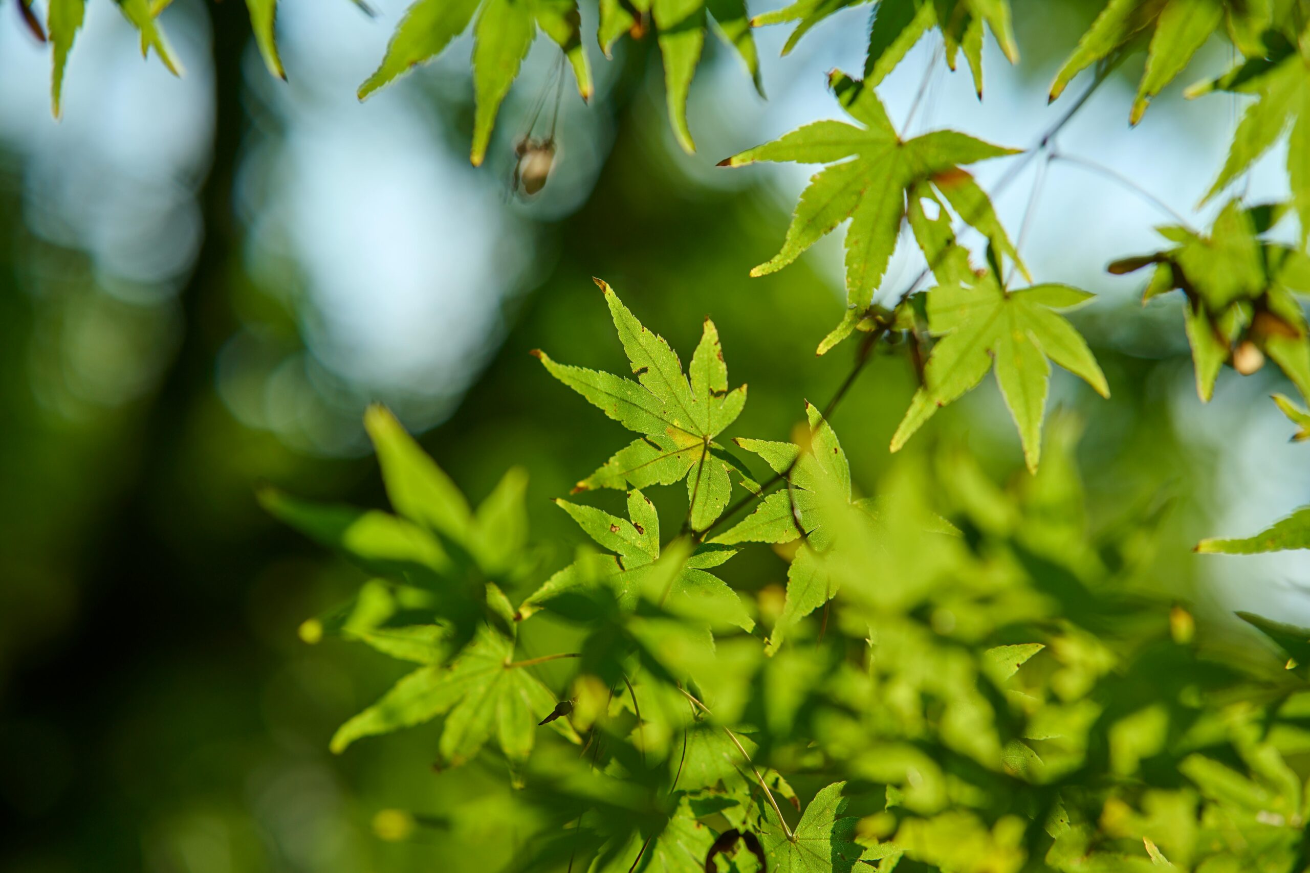 Dự đoán cho New Vedic Year 2026-2027